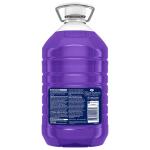 Fabuloso Lavender Antibacterial All-Purpose Cleaner, 169 oz (61018224)