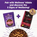Wellness CORE Bowl Boosters Tender All Life Stage Dog Meal Topper - 8 oz Grain Free, Lamb & Salmon