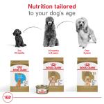 Royal Canin® Breed Health Nutrition® Poodle Breed Specific Adult Dog Dry Food 10lb