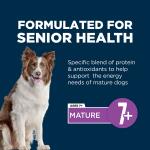 Authority® Everyday Health Senior 7+ Dry Dog Food - Chicken & Rice 34lb