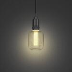 Feit Electric25W Equivalent Dimmable Vintage Oversized E26 LED Light Bulb With Mesh Cage Acrylic Filament Matte Gold Soft White 2700K (CG/AYC/MG/927CA/HDRP)