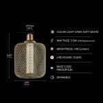 Feit Electric25-Watt Equivalent Dim Vintage Oversized E26 LED Light Bulb W/ Mesh Cage Acrylic Filament Matte Gold Soft White 1-Pack (CGAYCMG/L/927CA/HDRP)