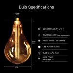 Feit Electric25W Equivalent PS50 Dimmable Oversized Amber Glass E26 Vintage Edison LED Light Bulb Acrylic Filament Warm White 2100K (PS50/AYC/820/HDRP)