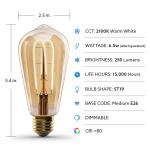 Feit Electric40-Watt Equivalent ST19 Dimmable M Shape Filament Amber Glass E26 Vintage Edison LED Light Bulb, Warm White 2100K (ST1940/M/LED/HDRP)