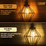 Feit Electric40-Watt Equivalent ST19 Dimmable M Shape Filament Amber Glass E26 Vintage Edison LED Light Bulb, Warm White 2100K (ST1940/M/LED/HDRP)