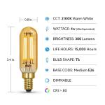 Feit Electric 40-Watt Equivalent T6 Dimmable Straight Filament Amber Glass E12 Candelabra Vintage LED Light Bulb, Warm White 4-Pack (T640VG/LED/HDRP/4/RP)