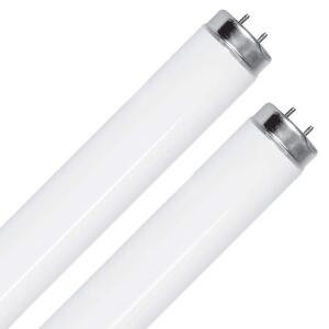 Feit Electric40-Watt 4 ft. T12 G13 Linear Fluorescent Tube Light Bulb, Cool White 4100K 2-Pack (F40CWX/2)