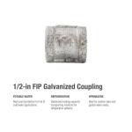 Southland1/2 in. Galvanized Malleable Iron FPT x FPT Coupling Fitting (511-203HN)