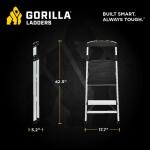 Gorilla Ladders2-Step Aluminum Step Stool Ladder, 250 lbs. Type I Duty Rating (8ft. Reach Height) (GLA-2-2)