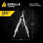 Gorilla Ladders2-Step Aluminum Step Stool Ladder, 250 lbs. Type I Duty Rating (8ft. Reach Height) (GLA-2-2)