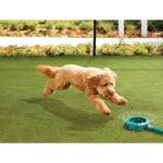 Lifeproof with Petproof TechnologyPremium Pet Turf 6 ft. x 7.5 ft. Green Artificial Grass Rug (LPPPET756)