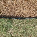 Vigoro Easy Landscape Edging, 2 ft. W x 0.25 in. L, Green Plastic (51034)