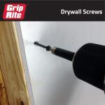 Grip-Rite#6 x 2 in. #2 Phillips Bugle Head Coarse Thread Sharp Point Drywall Screws 1 lb. Box (2CDWS1)