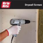 Grip-Rite#6 x 2 in. #2 Phillips Bugle Head Coarse Thread Sharp Point Drywall Screws 1 lb. Box (2CDWS1)