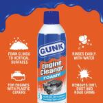 GUNK17 oz. Foamy Engine Cleaner and Degreaser Spray (FEB1CA/6)