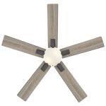 Hampton Bay52 in. Corwin Indoor/Outdoor Matte Black LED Ceiling Fan with Light Kit (56051)