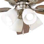 Hampton BayDevron II 52 in. Indoor Brushed Nickel LED Ceiling Fan with Light Kit, Downrod and Reversible Blades (57333)