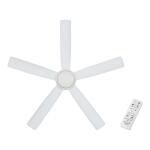 Hampton BayAmaia 56 in. Indoor/Outdoor Coastal Grade DC Motor Matte White Ceiling Fan with Adjustable White LED and Remote Included (N3251L-MWH)