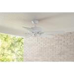 Hampton BayBarrow Island 52 in. Indoor/Outdoor Wet Rated White Ceiling fan (YG529-WH)