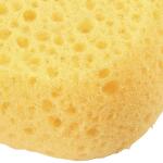 HDX2pcs. Multi-Purpose Sponge (32242)