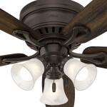 HunterOakhurst 52 in. LED Indoor Low Profile New Bronze Ceiling Fan with Light Kit (52016)