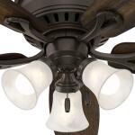 HunterOakhurst 52 in. LED Indoor Low Profile New Bronze Ceiling Fan with Light Kit (52016)