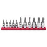 Husky1/4 and 3/8 in. Drive Torx Bit Socket Set (11-Piece) (HTXBS11PCSR)