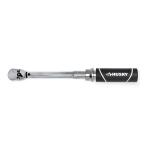 Husky 40 in./lbs. to 200 in./lbs. 1/4 in. Drive Torque Wrench (H4DTWA-03)