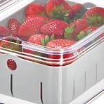 iDesign Berry Bin Plastic BPA Free Reusable Food Storage Container with Lid