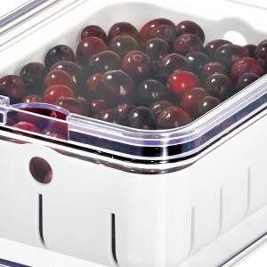 iDesign Berry Bin Plastic BPA Free Reusable Food Storage Container with Lid