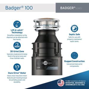 InSinkErator 1/3 HP Continuous Feed Kitchen Garbage Disposal, Badger 100 - Badger Series (BADGER 100)