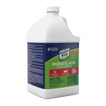 Klean-Strip Green 1 Gal. Muriatic Acid (GKGM75006)