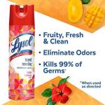 Lysol Brand New Day 19 oz. Mango and Hibiscus Disinfectant Spray (19200-98365)