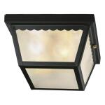 Hampton Bay 2-Light Matte Black Outdoor Flush Mount Light (WB0325)