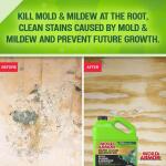 Mold Armor 1 Gal. Rapid Clean Remediation, Kills, Cleans, and Prevents Mold and Mildew (FG591)