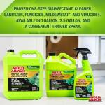 Mold Armor 1 Gal. Rapid Clean Remediation, Kills, Cleans, and Prevents Mold and Mildew (FG591)