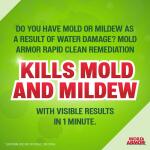 Mold Armor 1 Gal. Rapid Clean Remediation, Kills, Cleans, and Prevents Mold and Mildew (FG591)