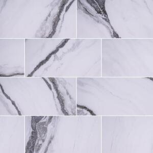 MSI Nyrobi 10 in. x 22 in. Glossy Ceramic Marble Look Wall Tile (1.33 sq. ft./Each) (NHDNYR10X22)