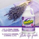 OdoBan 1 Gal. Lavender Multi-Purpose Cleaner Concentrate, Disinfectant, Odor Eliminator, Fabric Freshener, and Mold Control (911101-G)