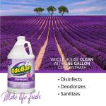 OdoBan 1 Gal. Lavender Multi-Purpose Cleaner Concentrate, Disinfectant, Odor Eliminator, Fabric Freshener, and Mold Control (911101-G)