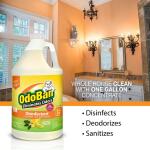 OdoBan 1 Gal. Multi-Purpose Cleaner Concentrate – Citrus Disinfectant, Odor Eliminator, Fabric Freshener, and Mold Control (911661-G)