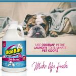 OdoBan 1 Gal. Cotton Breeze Multi-Purpose Cleaner Concentrate, Disinfectant, Odor Eliminator, Fabric Freshener, Mold Control (911801-G)