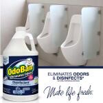 OdoBan 1 Gal. Night Ice Disinfectant and Odor Eliminator, Multi-Purpose Cleaner Concentrate, Fabric Freshener, Mold Control (911901-G)