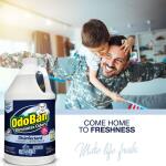 OdoBan 1 Gal. Night Ice Disinfectant and Odor Eliminator, Multi-Purpose Cleaner Concentrate, Fabric Freshener, Mold Control (911901-G)