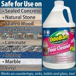 OdoBan 1 Gal. Concentrated No Rinse Floor Cleaner, Neutral pH, Streak-Free for Hardwood and Laminate Floors (9361B61-G)