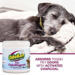 OdoBan 14 oz. OdoMagnet Odor Absorber with Activated Charcoal, Pet Odor Eliminator for Home, Bathroom, Kitchen, Fresh Air Scent (9755Y61-14Z)