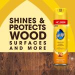 Pledge 14.2 oz. Enhancing Polish for Wood, Leather, and Stainless Steel, Orange Scent (336330)