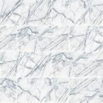 MSIRaphael Gray 24 in. x 48 in. Polished Porcelain Stone Look Floor and Wall Tile (16 sq. ft. /Case) (NHDRAP2448C)