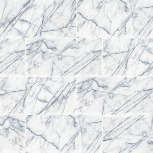 MSI Raphael Gray 24 in. x 48 in. Polished Porcelain Stone Look Floor and Wall Tile (16 sq. ft. /Case) (NHDRAP2448C)