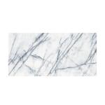 MSIRaphael Gray 24 in. x 48 in. Polished Porcelain Stone Look Floor and Wall Tile (16 sq. ft. /Case) (NHDRAP2448C)